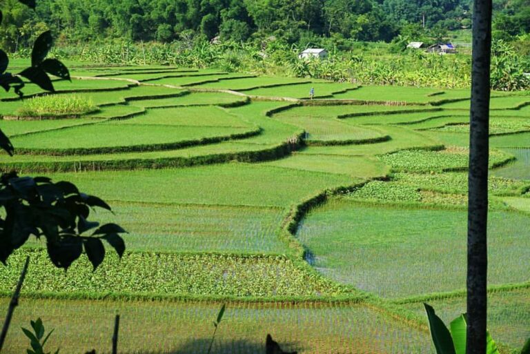 mai-chau-tour-1