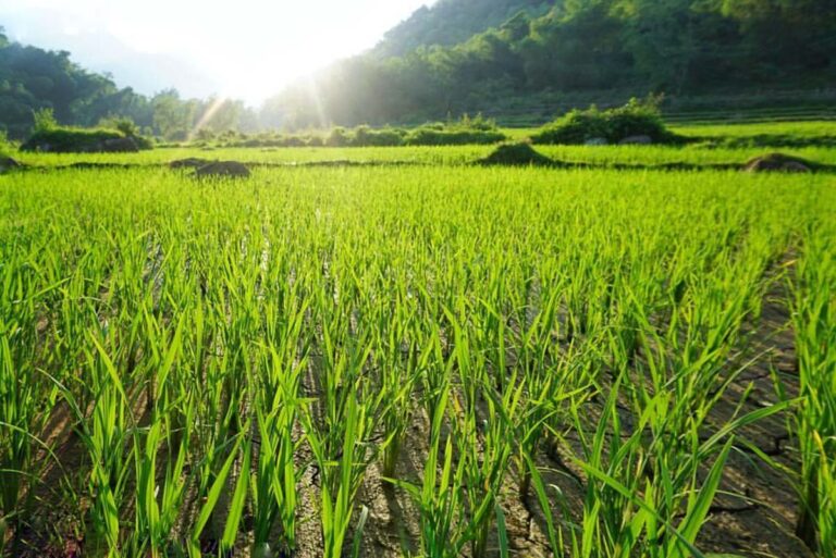 mai-chau-tour-2