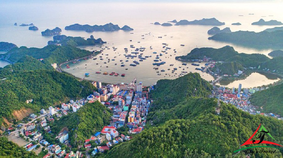 Cat Ba Island is a highly recommended stop in Ha Long Bay - Source: Internet
