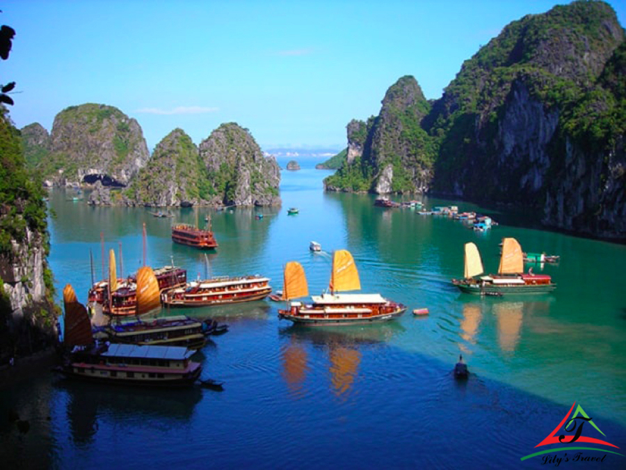 Take a cruise to go around Bai Tu Long Bay - Source: Internet