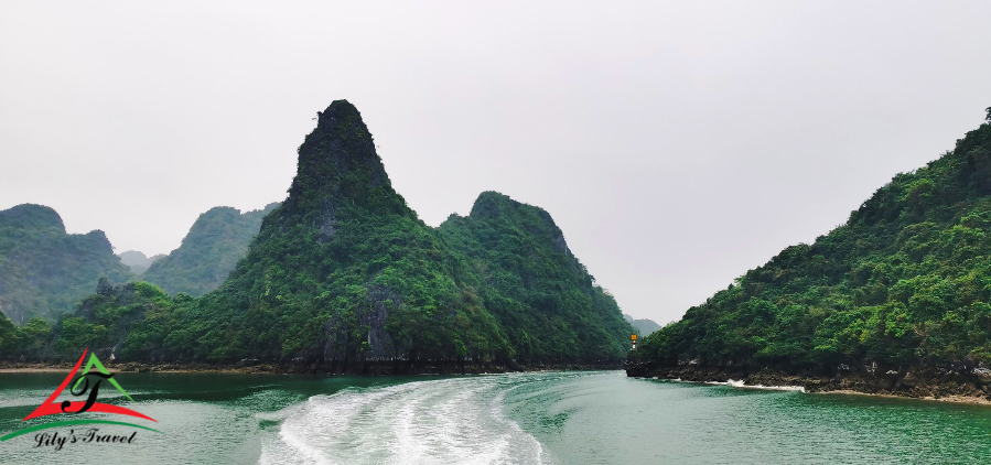 The diversity of Bai Tu Long Bay - Â Source: Internet