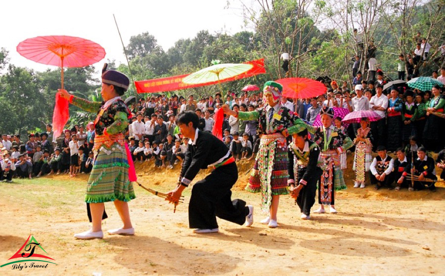 Feature festivals