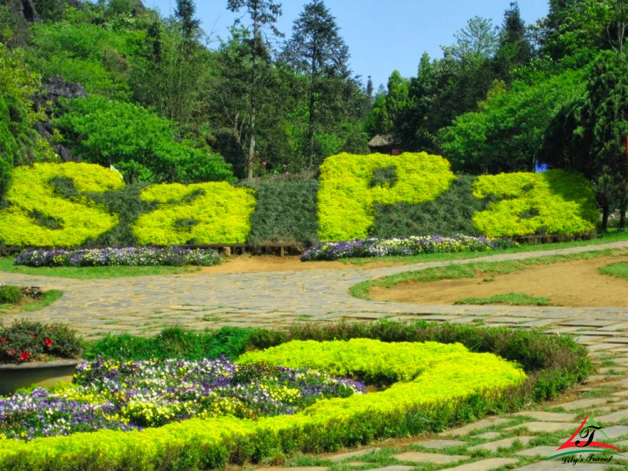 The center garden