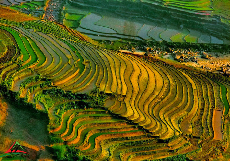 The terraced fields