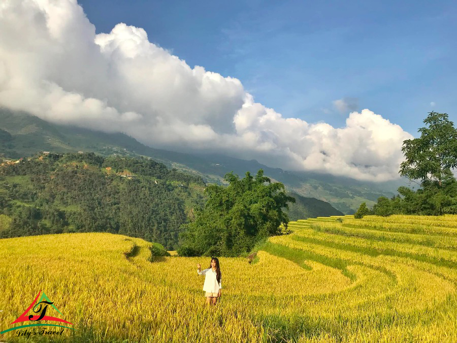 The terraced fields is one of the most beauty in Y Linh Ho Village