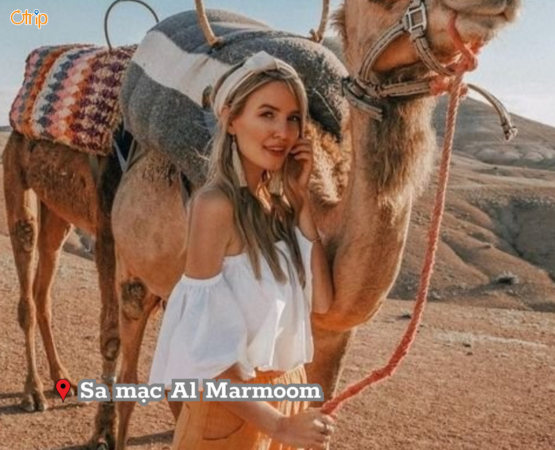 DU LỊCH DUBAI – ABU DHABI – SA MẠC SAFARI 6N5Đ