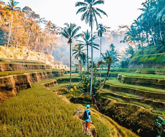 DU LỊCH BALI (INDONESIA) 4N3Đ
