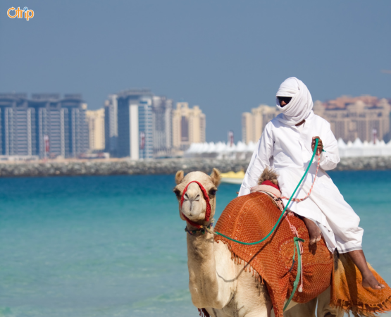 DU LỊCH DUBAI – ABU DHABI – SA MẠC SAFARI 6N5Đ