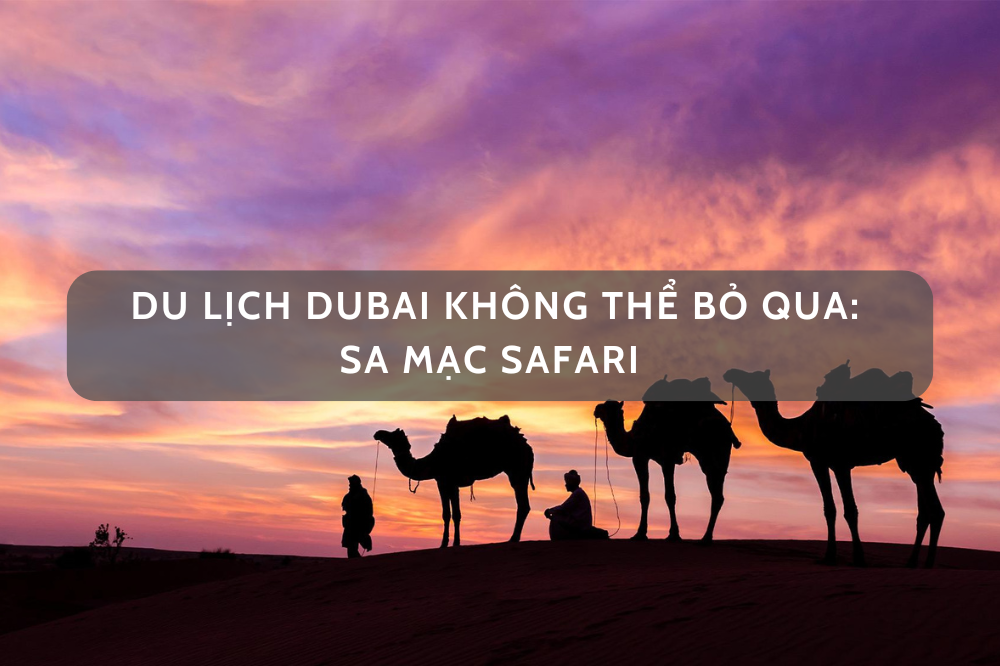 ĐIỂM ĐẾN KHÔNG THỂ BỎ QUA KHI ĐẾN DUBAI: SA MẠC SAFARI