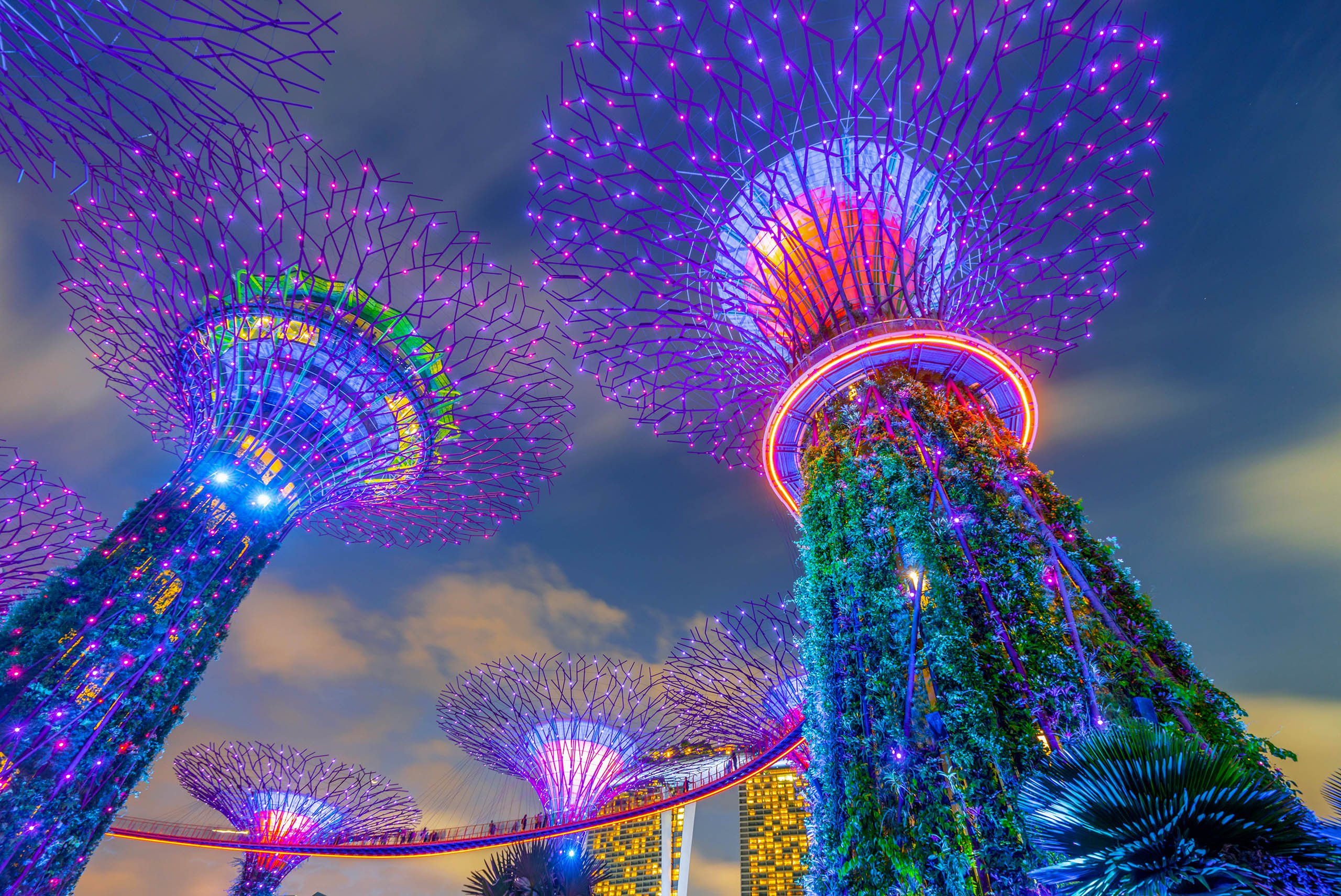 GARDENS BY THE BAY – KHU VƯỜN ĐỊA ĐÀNG GIỮA LÒNG SINGAPORE