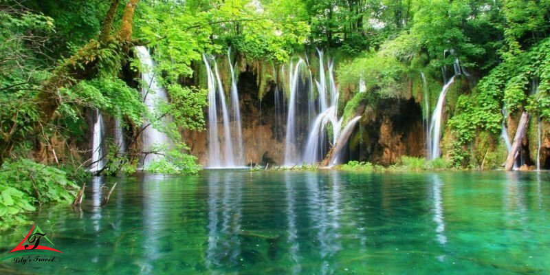 The paradise beauty of Cuc Phuong National Park