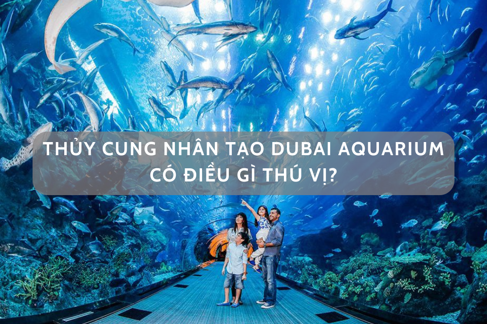 THỦY CUNG NHÂN TẠO DUBAI AQUARIUM CÓ ĐIỀU GÌ THÚ VỊ?