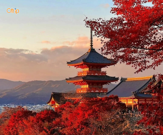 DU LỊCH NHẬT BẢN CUNG ĐƯỜNG VÀNG: TOKYO – PHÚ SĨ – KYOTO – OSAKA Bay VJ