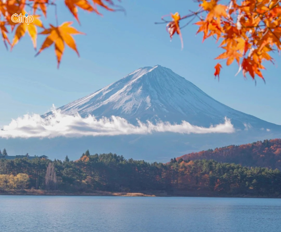 DU LỊCH NHẬT BẢN CUNG ĐƯỜNG VÀNG: TOKYO – PHÚ SĨ – KYOTO – OSAKA Bay VJ
