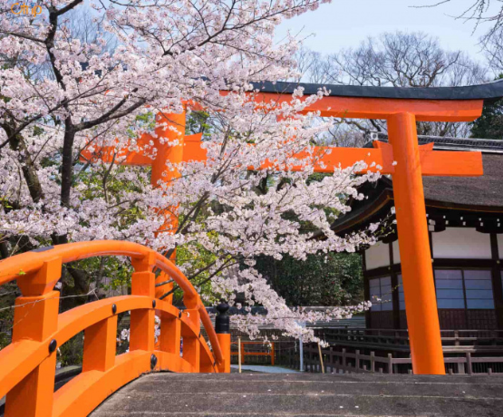 DU LỊCH NHẬT BẢN CUNG ĐƯỜNG VÀNG: TOKYO – PHÚ SĨ – KYOTO – OSAKA Bay VJ