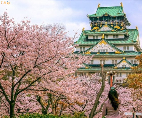DU LỊCH NHẬT BẢN CUNG ĐƯỜNG VÀNG: TOKYO – PHÚ SĨ – KYOTO – OSAKA Bay VJ