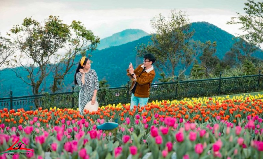 Le Jardin D'Amour Gardens attracks many couples