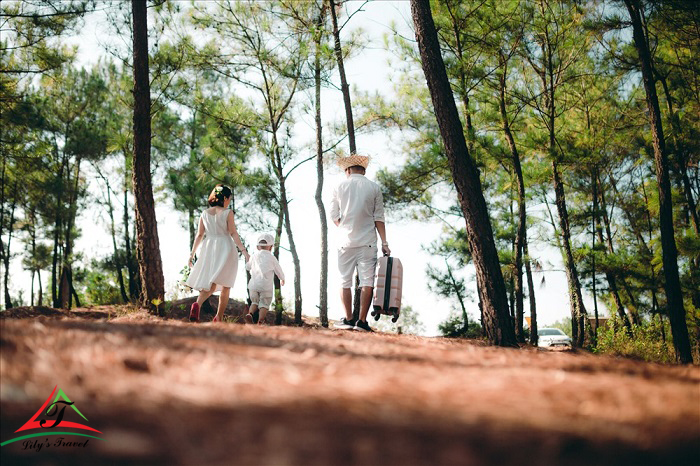 Bo Bo pine forest still has a wild and idyllic beauty but is extremely romantic