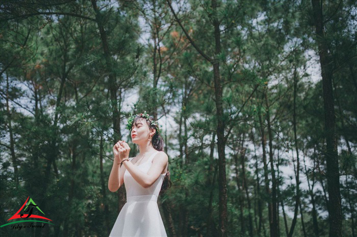 According to the Da Nang travel experience of many of you, to have the most enjoyable and complete experience in Bo Bo pine forest, you should take a look at some of the notes