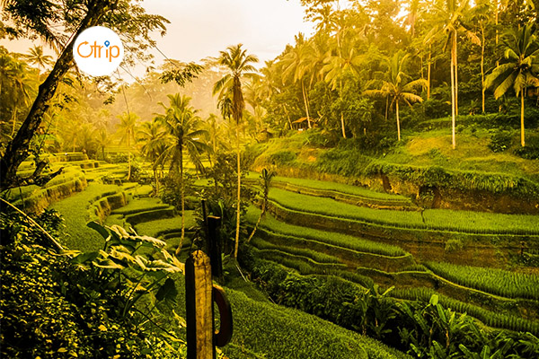HÀ NỘI – ĐẢO BALI – HÀ NỘI TOUR 4N3Đ