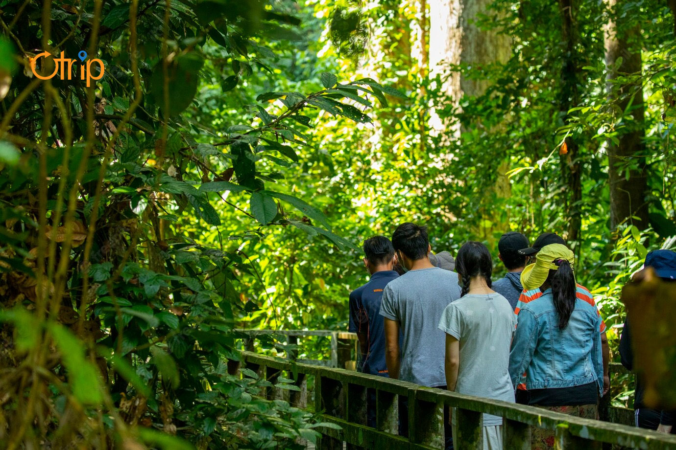 Đa dạng thực vật tại Sentosa Nature - Travelbyhuman.vn