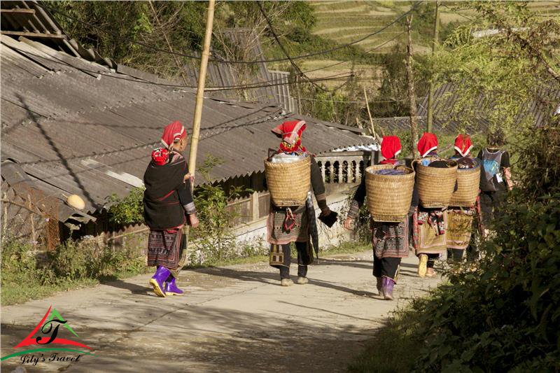 sapa travel