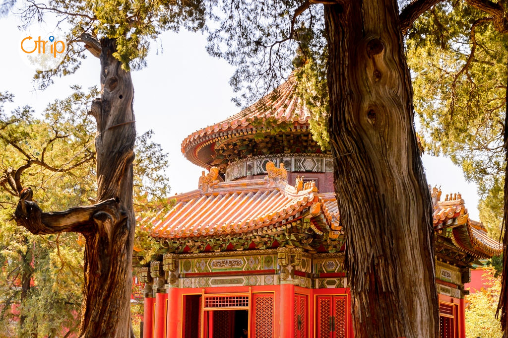 tu-cam-thanh-tour-bac-kinh-0011