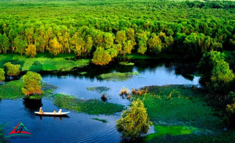 U Minh Forest