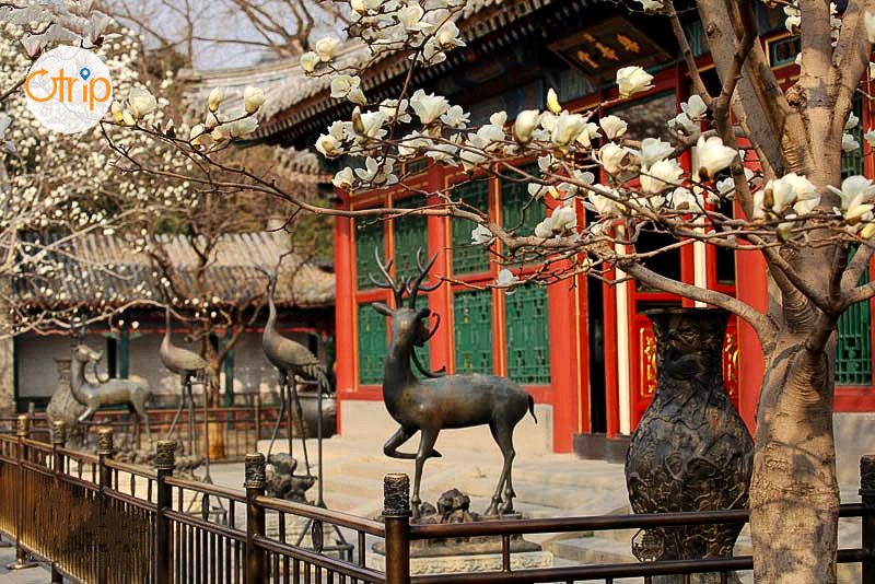 Lạc Thọ Đường