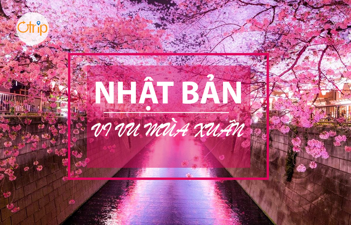 NGẮM HOA ANH ĐÀO – TRẢI NGHIỆM KHÔNG THỂ BỎ QUA VÀO MÙA XUÂN TẠI NHẬT BẢN