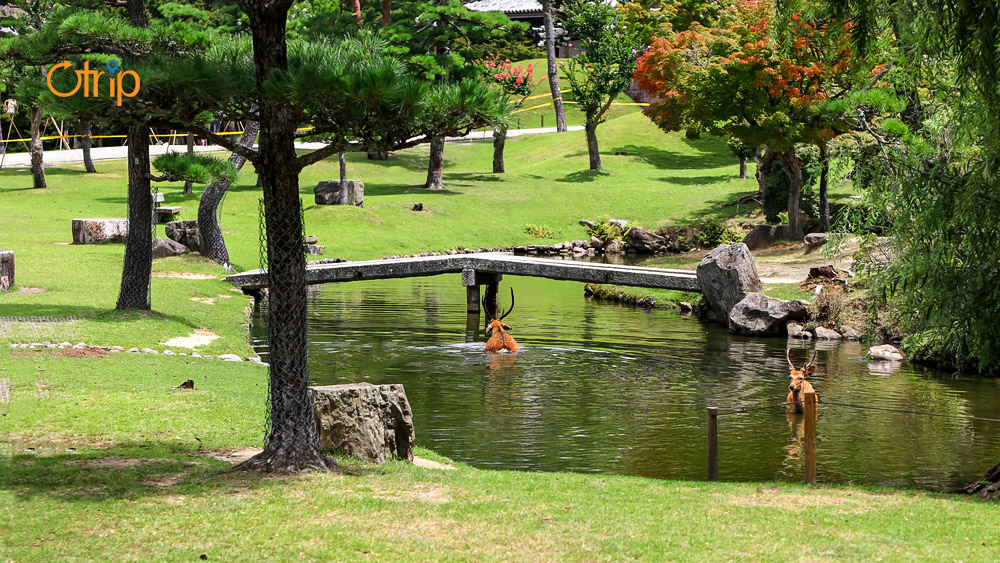cong-vien-nara-nhat-ban-003