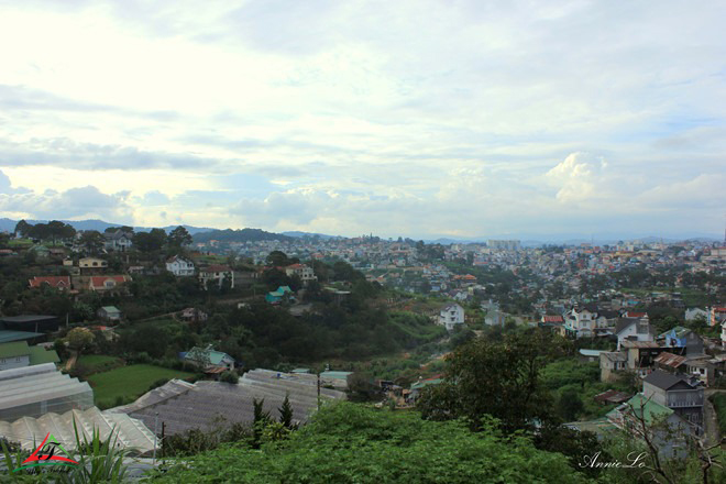 Robin Hill