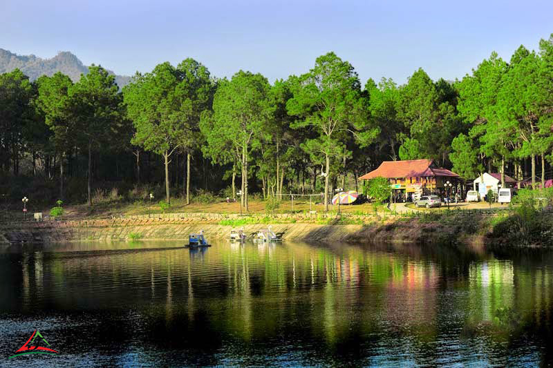 Ban Ang pine forest