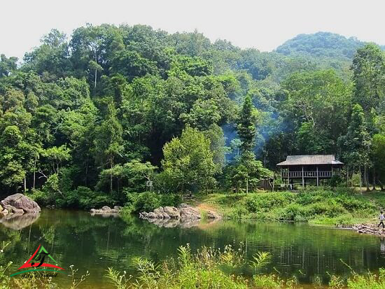 Bang Ta Natural Forest