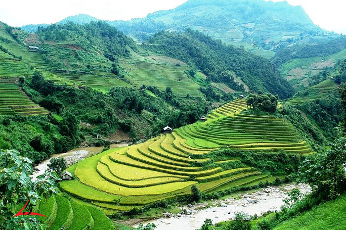 Mu Cang Chai