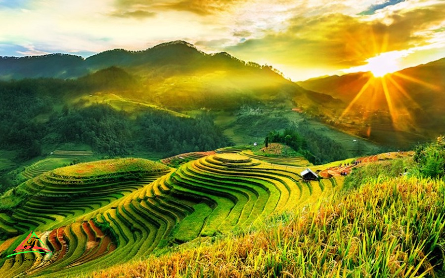 Mu Cang Chai Yen Bai