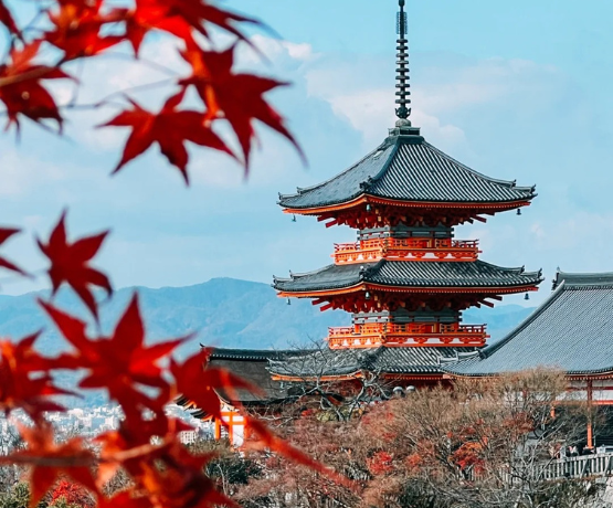 CUNG ĐƯỜNG VÀNG MÙA THU NHẬT BẢN TOKYO – PHÚ SĨ – KYOTO – OSAKA 6N5Đ