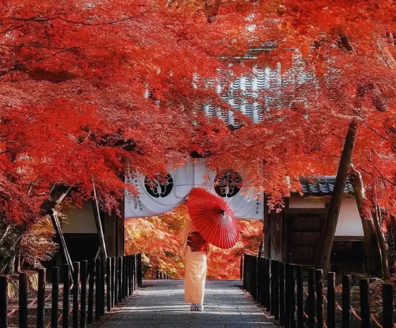 CUNG ĐƯỜNG VÀNG MÙA THU NHẬT BẢN TOKYO – PHÚ SĨ – KYOTO – OSAKA 6N5Đ