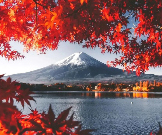 CUNG ĐƯỜNG VÀNG MÙA THU NHẬT BẢN TOKYO – PHÚ SĨ – KYOTO – OSAKA 6N5Đ