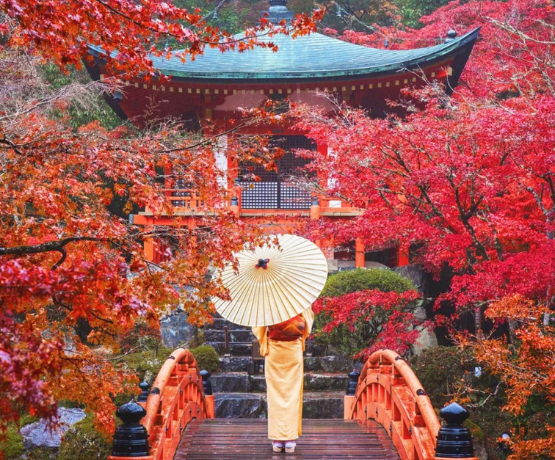 CUNG ĐƯỜNG VÀNG MÙA THU NHẬT BẢN TOKYO – PHÚ SĨ – KYOTO – OSAKA 6N5Đ
