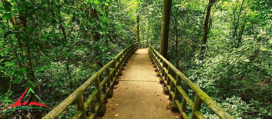 Cuc Phuong International Forest