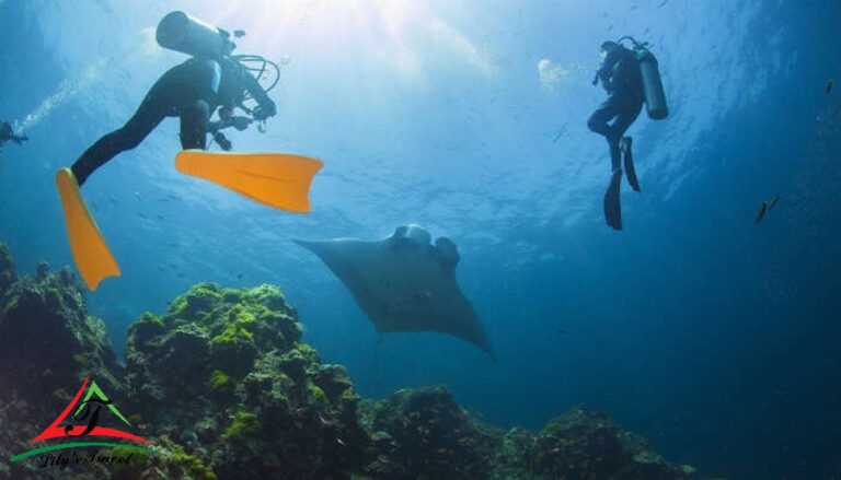 Diving in Cu Lao Cham island