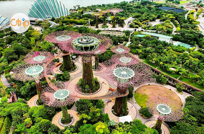 REVIEW CHUYẾN ĐI SINGAPORE 9 NGÀY
