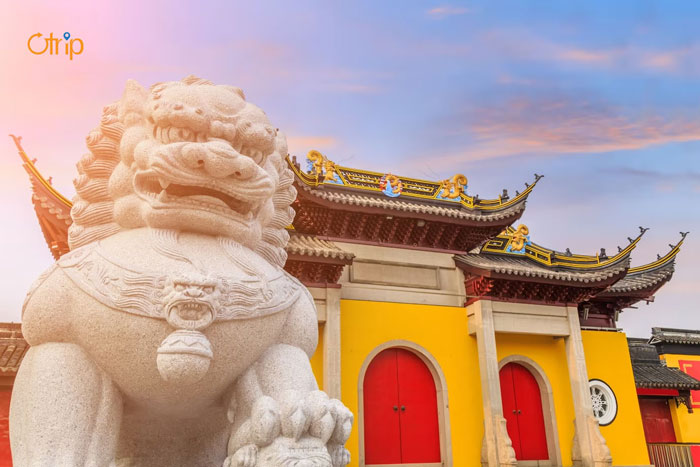 REVIEW HÀNH TRÌNH KHÁM PHÁ : THƯỢNG HẢI – HÀNG CHÂU – Ô TRẤN – CHIẾT GIANG