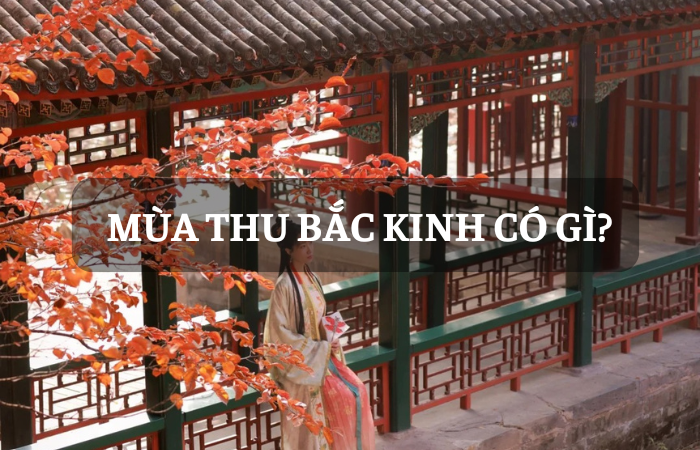 MÙA THU Ở BẮC KINH – TUYỆT TÁC THIÊN NHIÊN BAN TẶNG