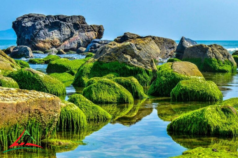Nam O Reef
