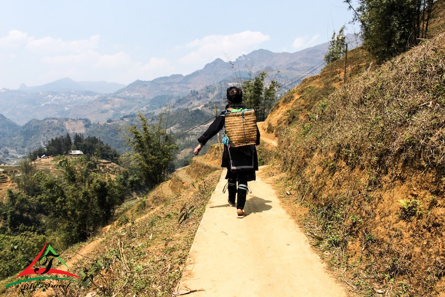 Trekking in Sapa Mountain
