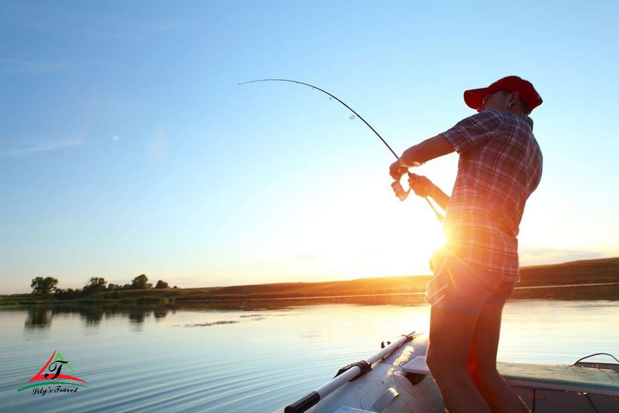 Using nets to catch fish