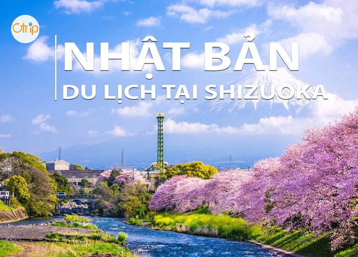 5 ĐỊA ĐIỂM NÊN BỎ TÚI KHI DU LỊCH TẠI SHIZUOKA – NHẬT BẢN