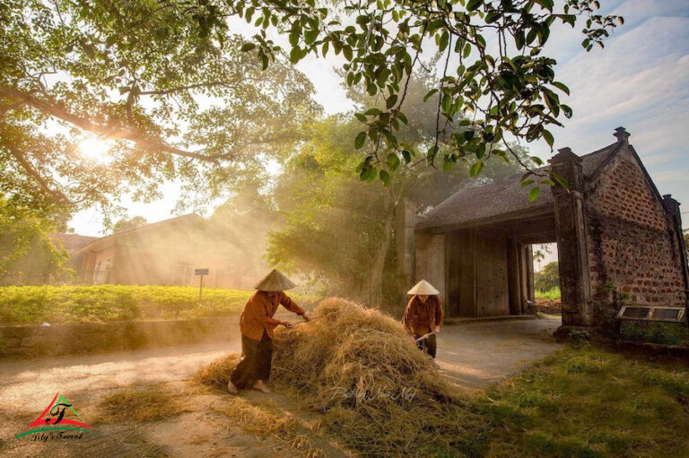 Duong Lam Ancient village
